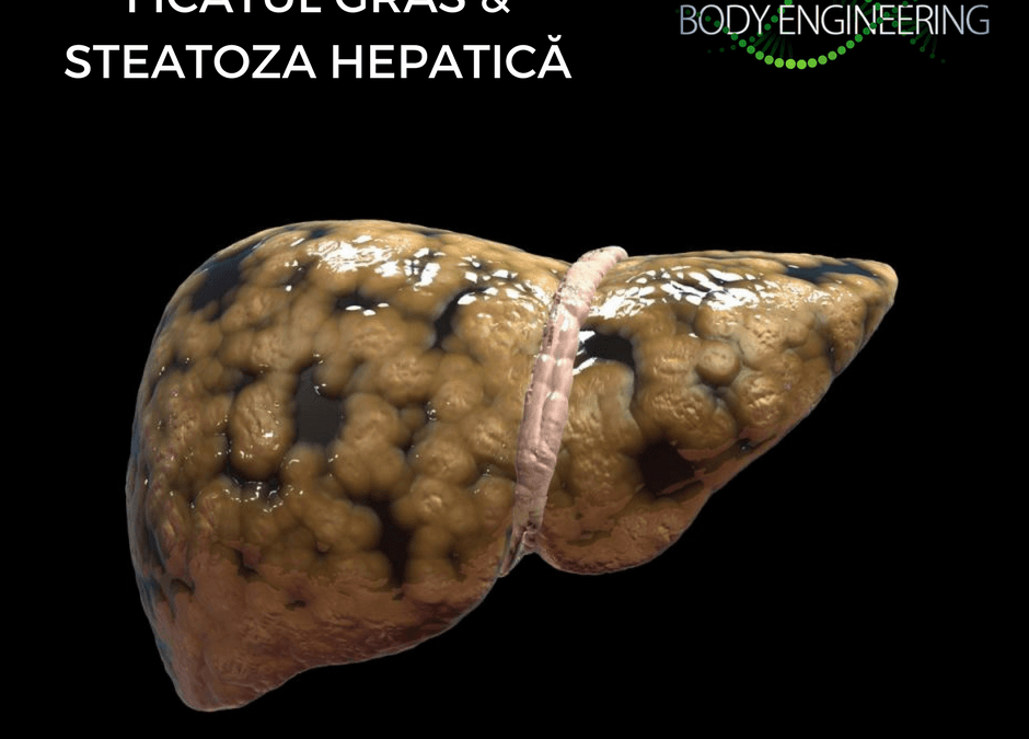 steatoza hepatica nonalcoolica