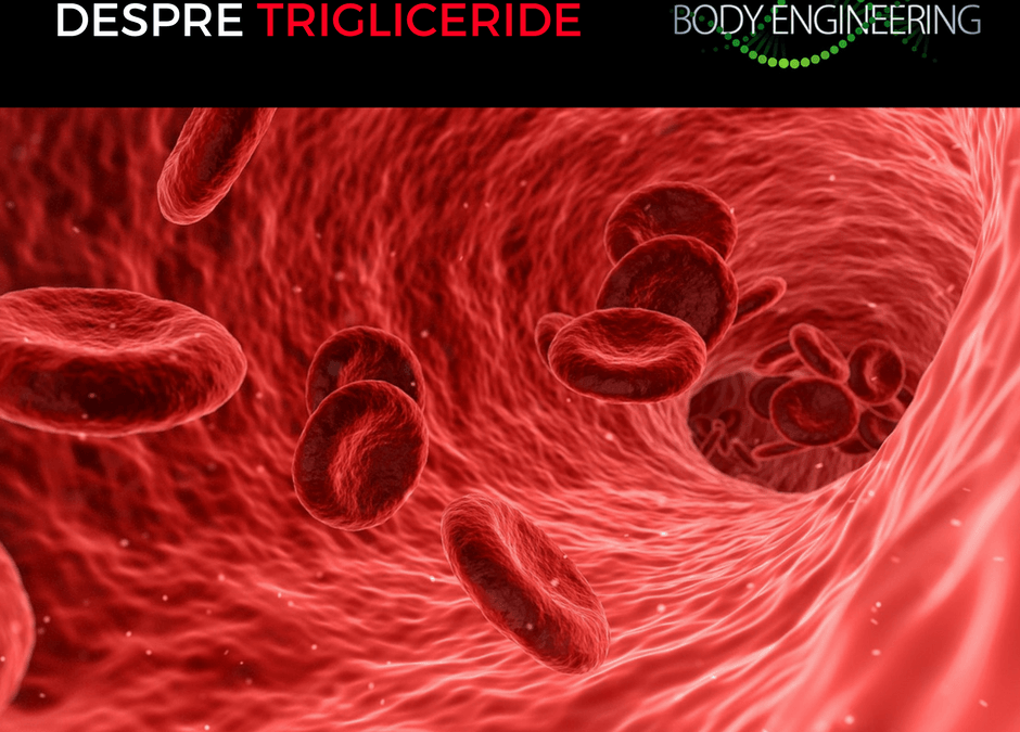Despre trigliceride